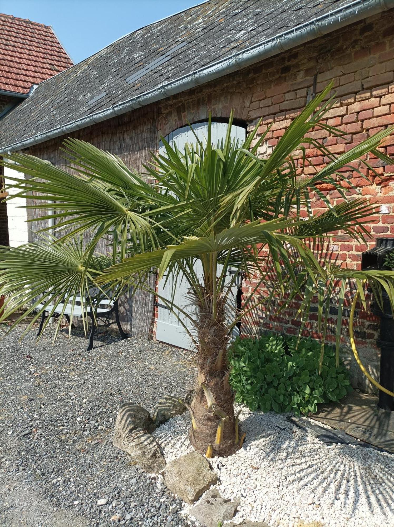 Les Muches Bed & Breakfast Bouzincourt Eksteriør bilde